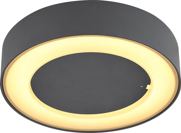 Globo Sura (507 lm, IP54)