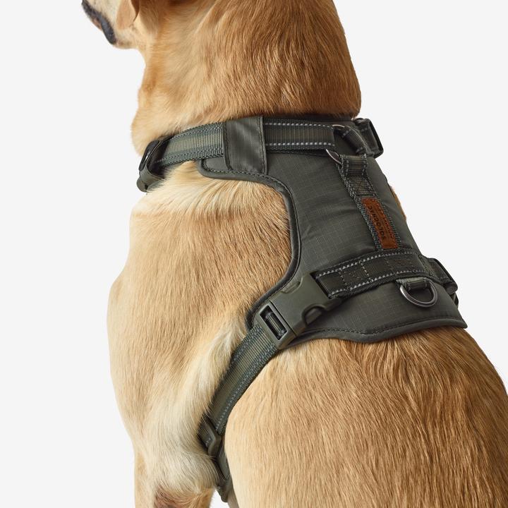 Immagine prodotto Solognac Pettorina per cani 500 Outdoor (S, Cane)