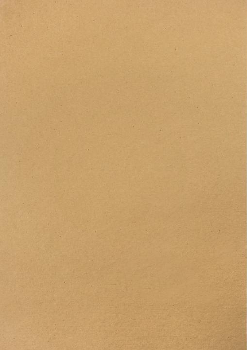 Image du produit MarpaJansen Carton photo vintage "Plumeau de palmier", 50 x 70 cm (230 g/m², 1 x)