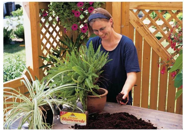 Actual product image Neudorff Kokohum Potting Soil (7 l, Soil without peat, Coco Slab)