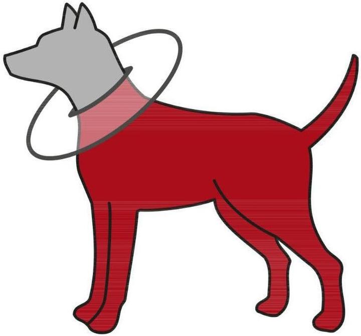 Image du produit Trixie Collier de protection (Chat, Chien)
