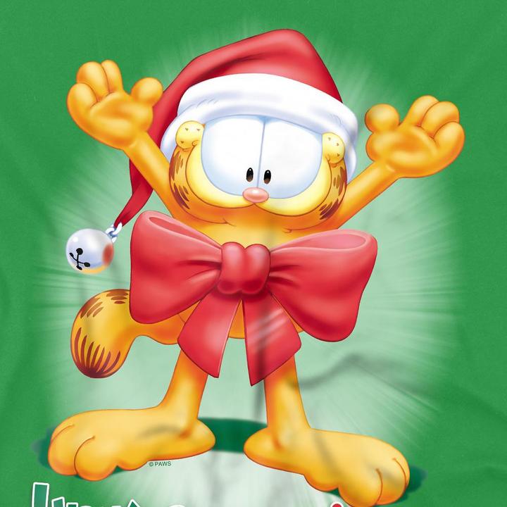 Immagine prodotto Garfield Unwrap The Joy! Maglietta Uomo (4XL)