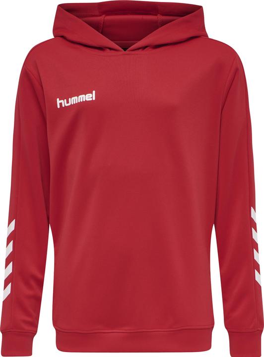 Actual product image hummel Promo Kids Poly Hoodie (164)