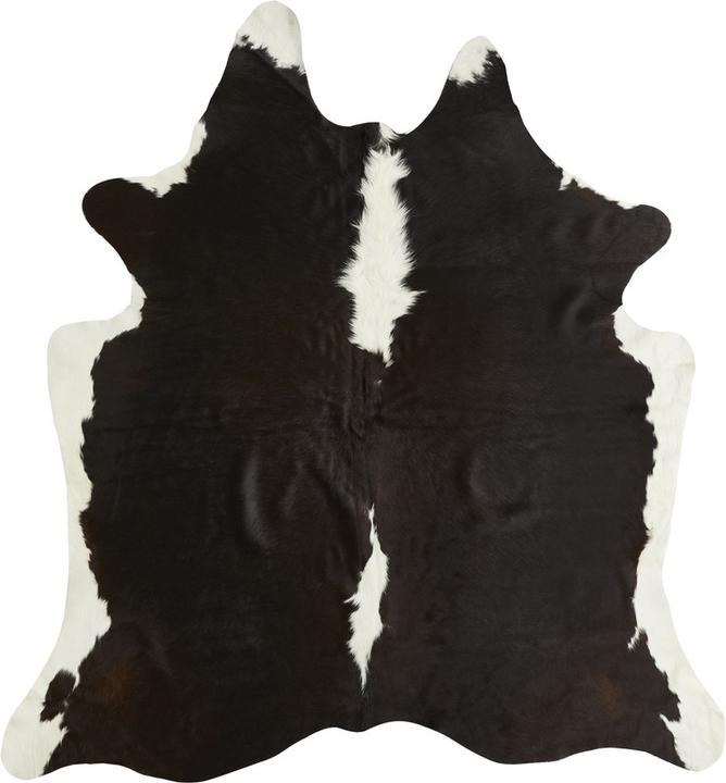 Noir à motifs