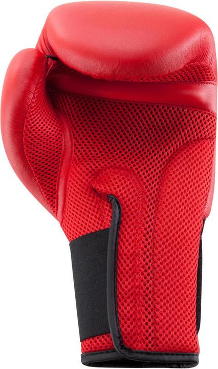 Image du produit Dita gants de boxe 100 338014 (3XS)