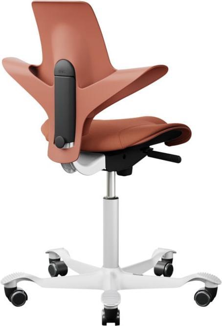 Image du produit HAG Capisco