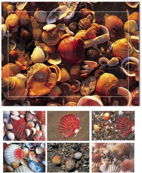Produktbild Baback Haschemi Doppelkarten-Böxli 104 MUSCHELN (1 Stk.)