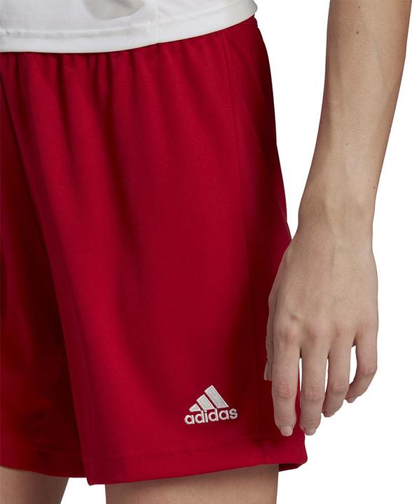 Image du produit adidas Short Entrada 22 Femmes (XXL)