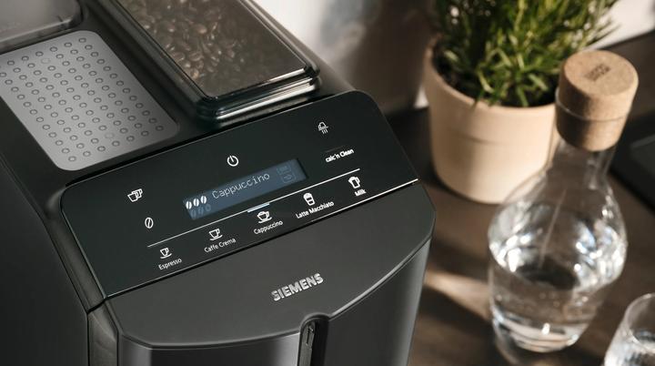Actual product image Siemens TF305EF9