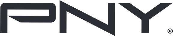 Actual product image PNY Pro Elite V3 Type-C USB 3.2 1TB Flash Drive (1000 GB, USB-C)