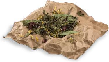 Image du produit Bunny Mélange de plantes (0.15 kg, 1 x)