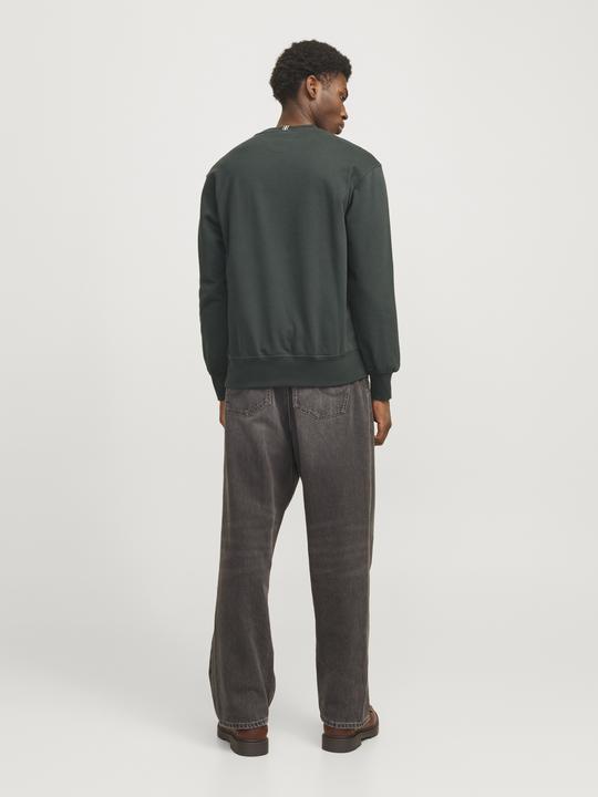 Actual product image Jack & Jones Printed sweatshirt Sweatshirt (XS)