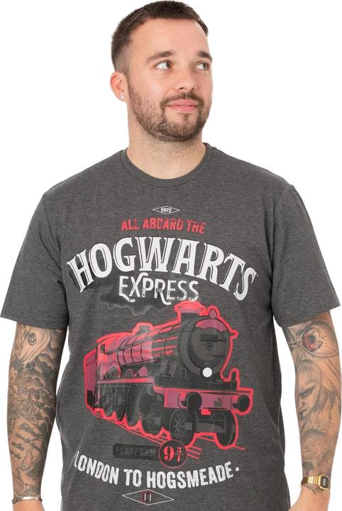 Actual product image Mens Hogwarts Express Long Pyjama Set (S)