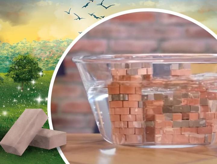 Produktbild Trefl Bauen Sie den EKO-Klocki-Triumphbogen aus Ziegeln (290 Teile)