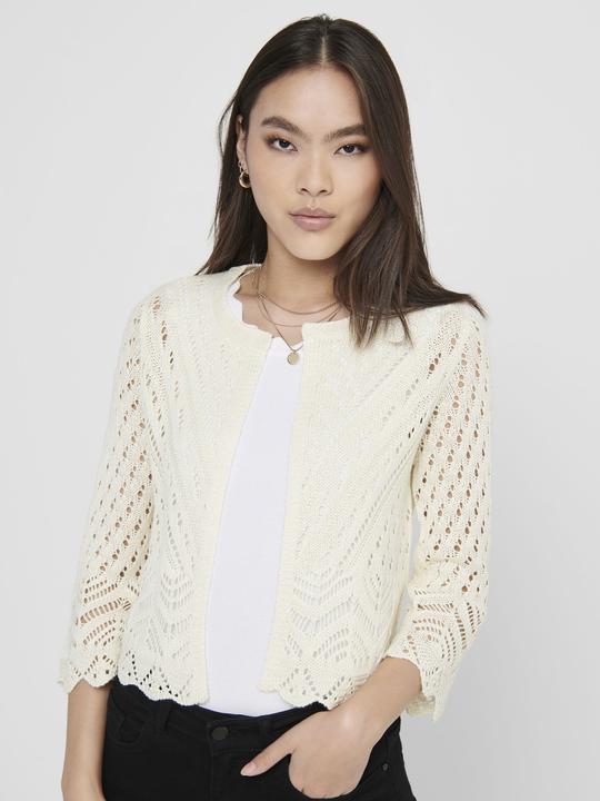 Image du produit JdY Cardigan cropped (S)