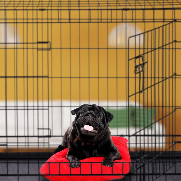 Image du produit Relaxdays Cage pour Chien Pliante en S-XXXL (Chien, Pliable)