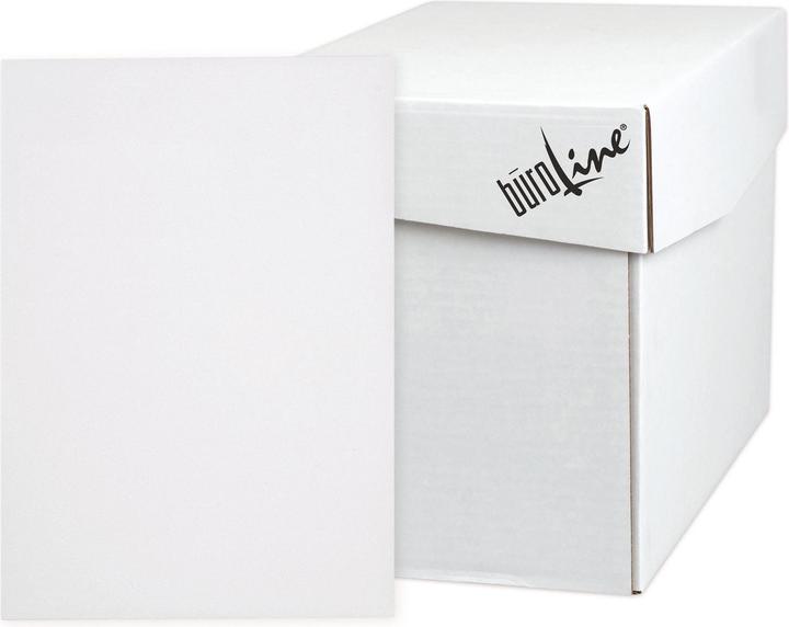 Actual product image BüroLine Envelope (B4, 250 x)