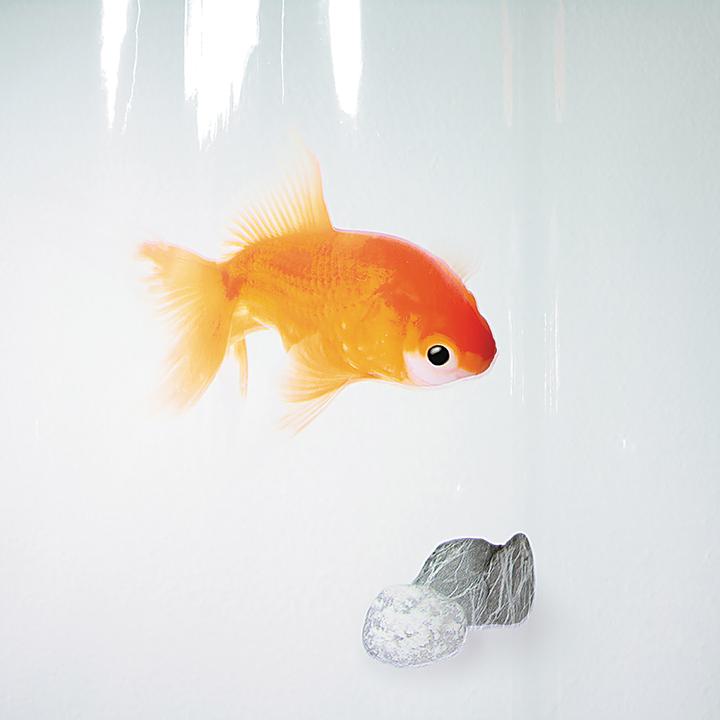 Produktbild spirella Goldfish (180 x 200 cm)