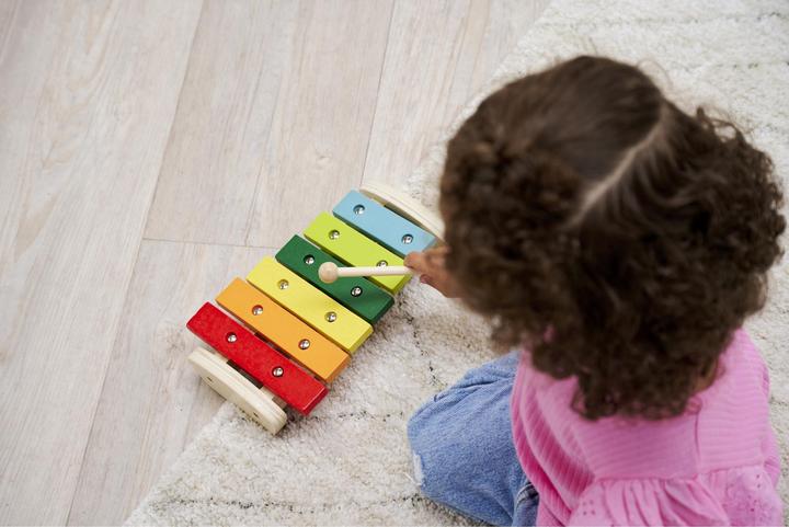 Actual product image Xylophone (English, German)