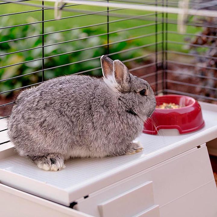 Actual product image Ferplast rabbit cage krolik 140 plus, 142 x 60 x 50 cm, 57072570