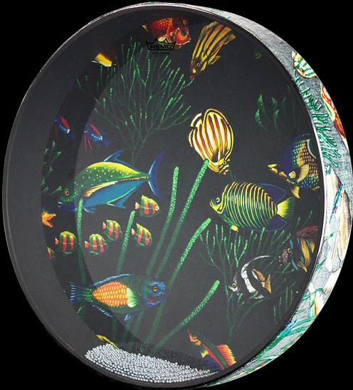 Actual product image Remo Ocean (Drum)