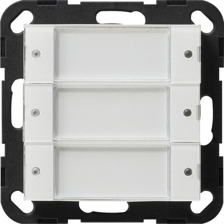 Produktbild Gira Tastsensor 2 3f 24V 2003100 System 55 Transparent ws potentialfrei