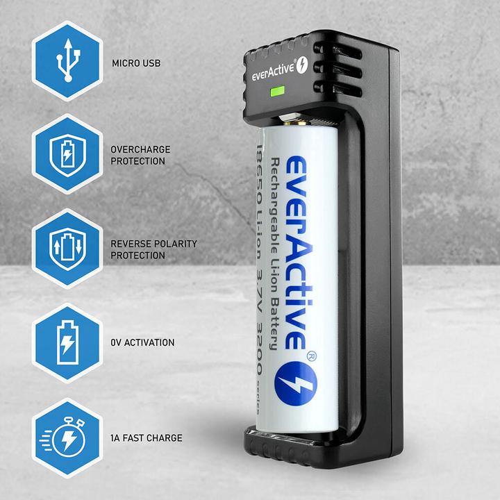 Actual product image Everactive LC-100 (1 pcs., AAA, AA, Chargers without battery)