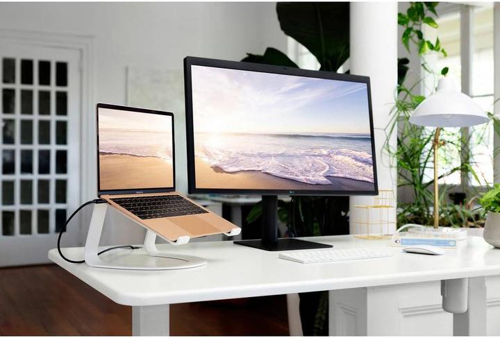 Productafbeelding TwelveSouth Curve SE