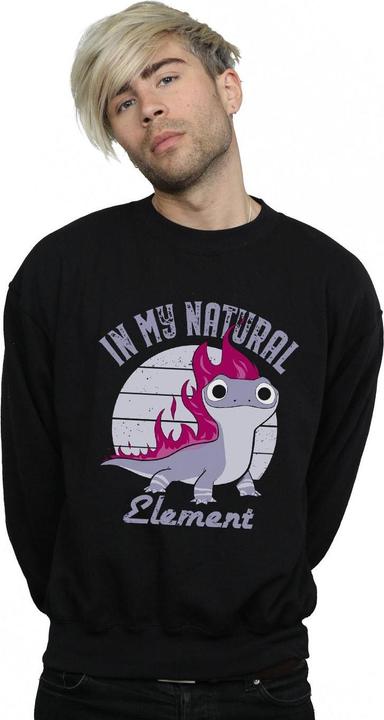 Image du produit Disney - Sweat FROZEN SALAMANDER BRUNI ELEMENT - Homme (3XL)