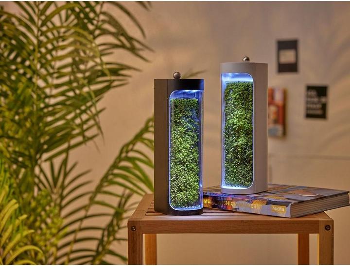 Image du produit Mosslab Air Humidifier Moss black