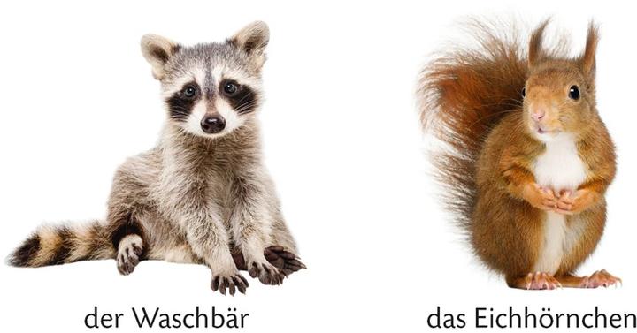 Produktbild Duden 12+ Kennst du das? Meine bunte Spiel-und-Lernbox: Kinderwelt (Deutsch)