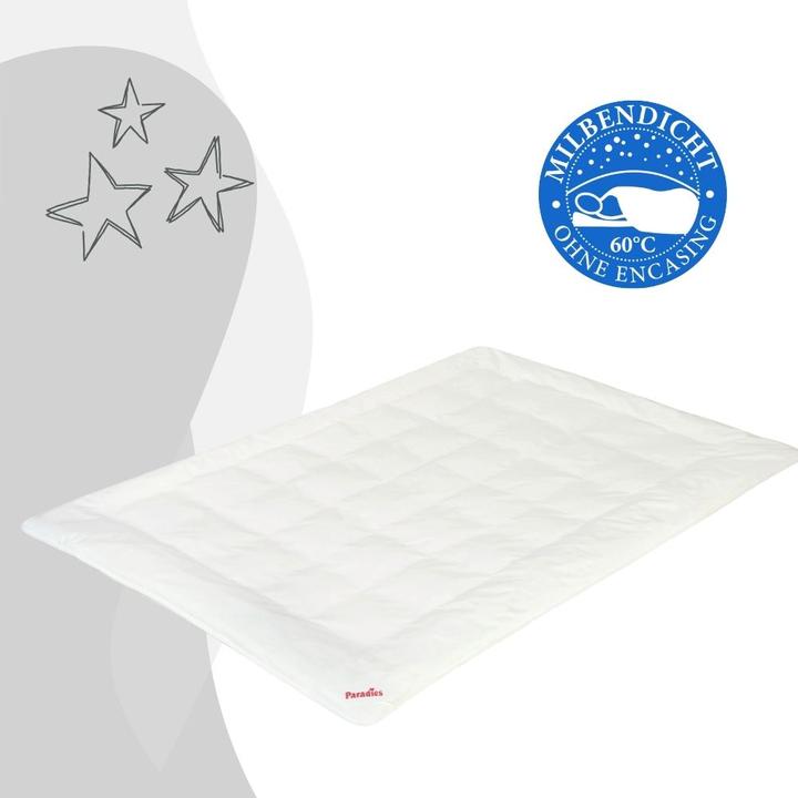 Actual product image Paradies Antiallergo all-season duvet for children and teenagers (135 cm x 200 cm) (680 g, 135 x 200 cm)