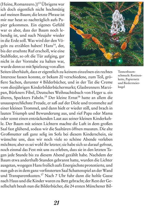 Produktbild Theodor Storms Weihnachten (Deutsch, Gerd Eversberg, 2017)