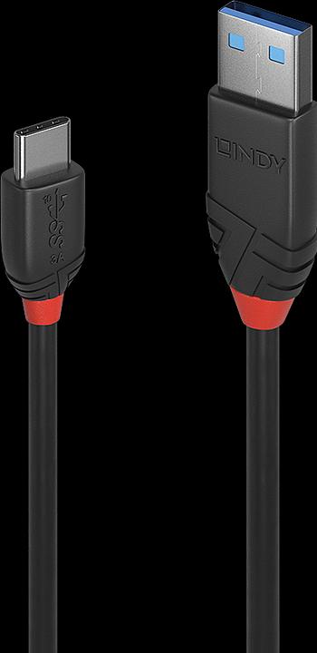 Actual product image Lindy black line (0.50 m, USB 3.1)
