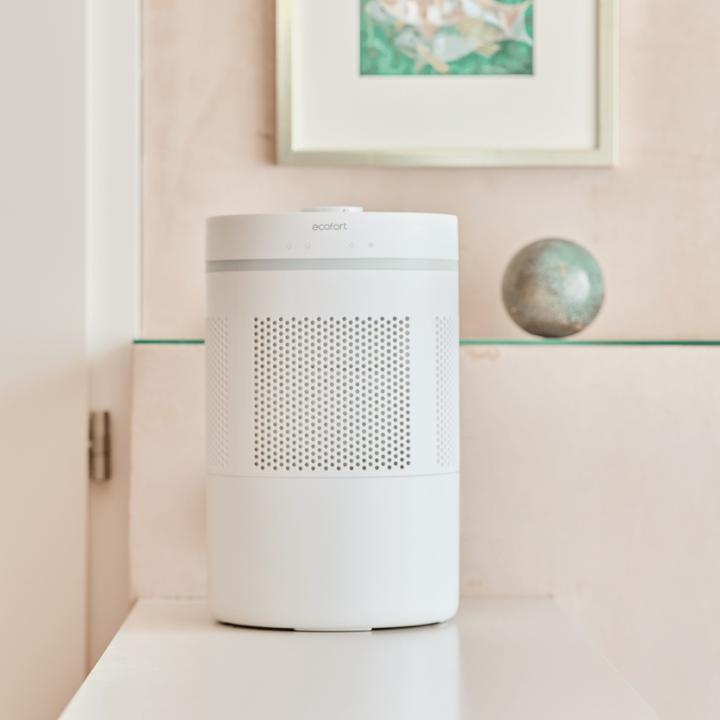 Actual product image ecofort ecoQ HumidAir E300+ (40 m²)