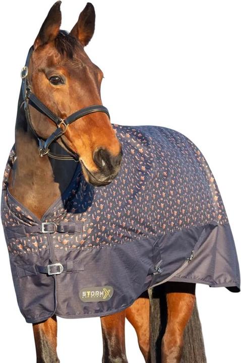 Produktbild Storm X Original Country 100 Standard Pferdedecke