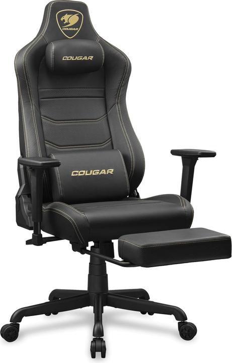 Actual product image Cougar Armor Evo S