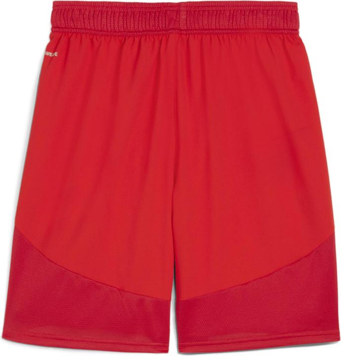 Image du produit Puma Short teamFINAL (L)