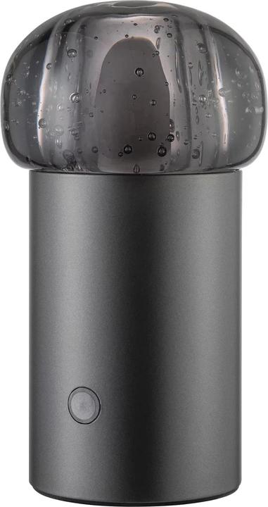 Blomus Mobile LED-Leuchte IRIS für indoor und outdoor anthrazit metallic (115 lm)