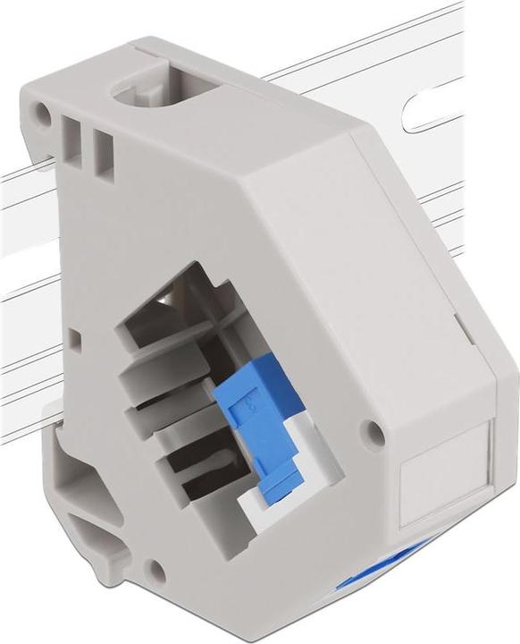Image du produit Delock Adaptateur pour profilé chapeau avec Keystone SC Simplex femelle vers SC Simplex femelle bleu
