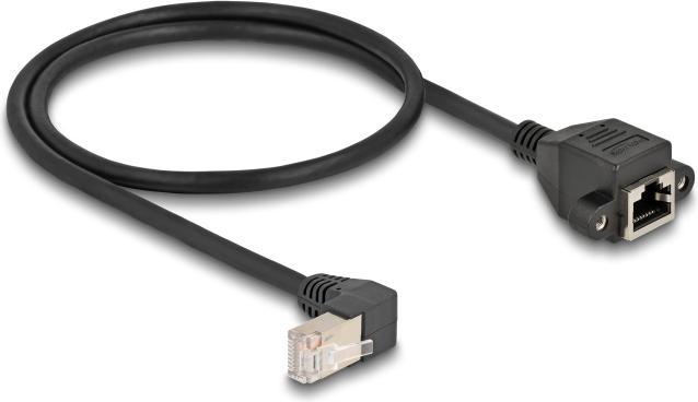 Image du produit Delock Rallonge réseau S/FTP mâle RJ45 mâle (S/FTP, CAT6a, 0.50 m)