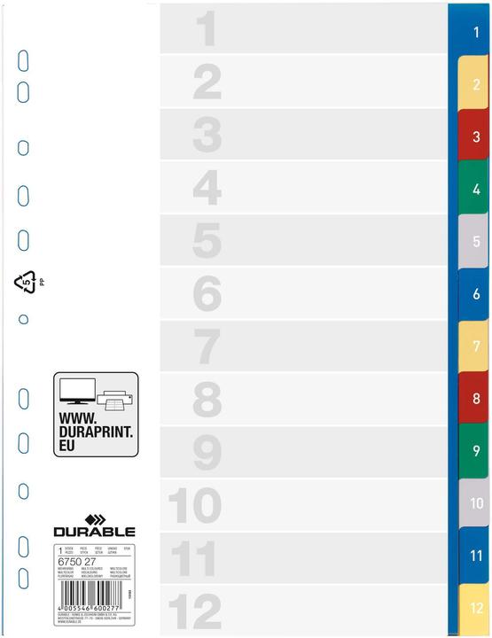 Energie-Label Durable PP-Register, diverse Ausführungen, einzeln
