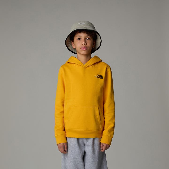 Immagine prodotto North Face Teen Redbox Regular (S)