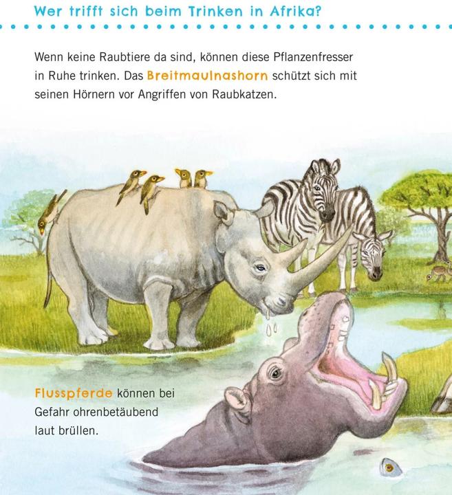 Produktbild Unkaputtbar: Erstes Wissen: Grosse Tiere (Deutsch, Petra Klose, 2021)