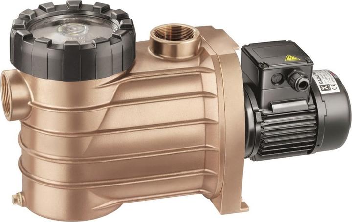Actual product image Speck Pumpen Badu Bronze 25 Pump 1.30kW 400V Gbz 10