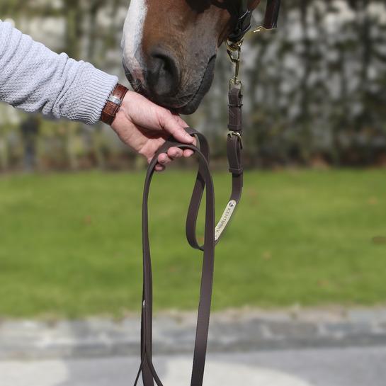 Produktbild Kentucky Horsewear Vorführstrick 2m Biothane Beta