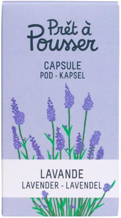 Prêt à Pousser Lavendel (Kräutersamen)