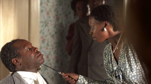 Image du produit La couleur violette (DVD, 1985, Anglais)