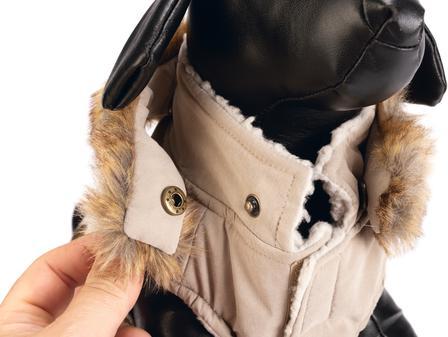 Immagine prodotto Designed by Lotte Philos (L, Cappotto per cani)