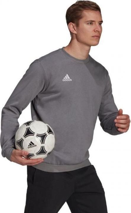 Image du produit adidas Sweat-shirt Entrada 22 Hommes (L)